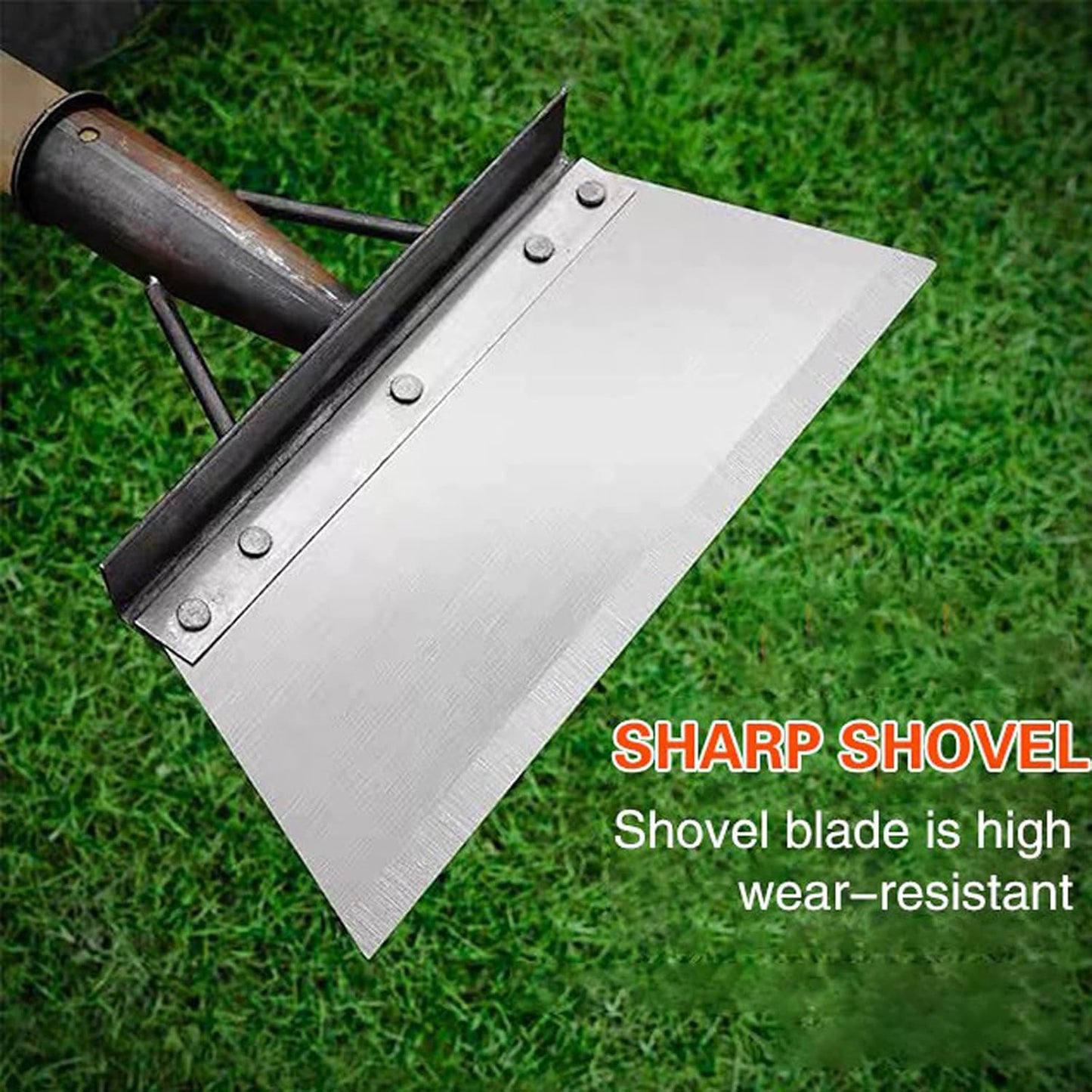 Cleaning Shovel with Handle