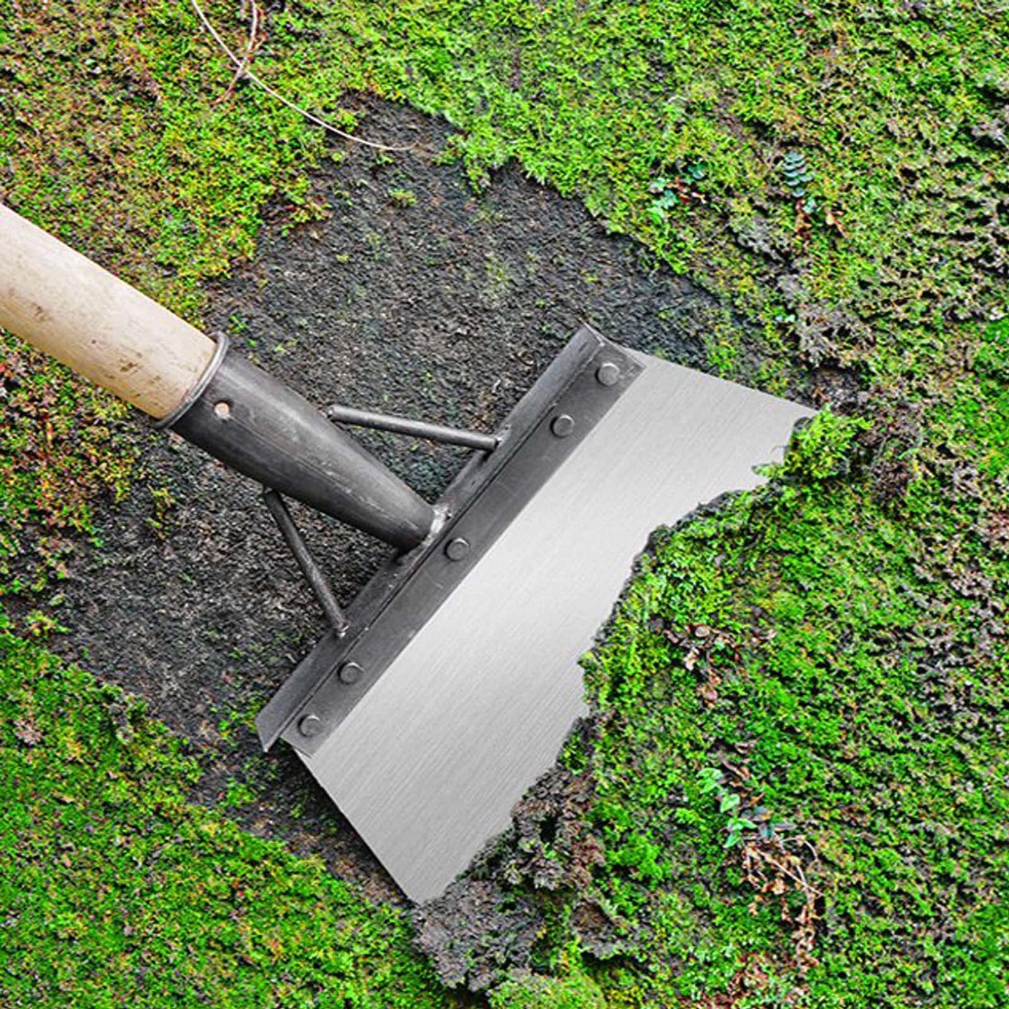 Cleaning Shovel with Handle