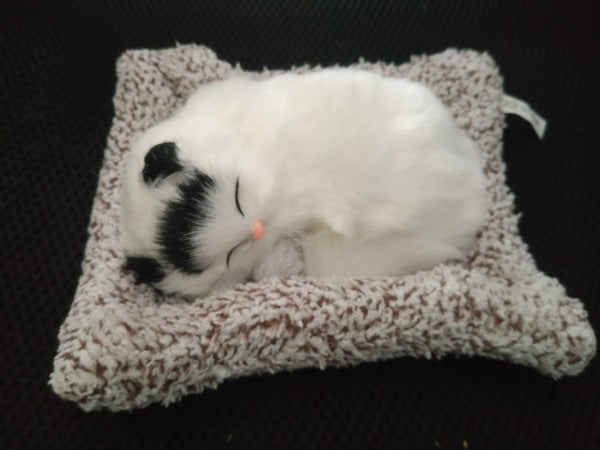 Sleeping Cute Cat for Car Dashboard and Home Decor
