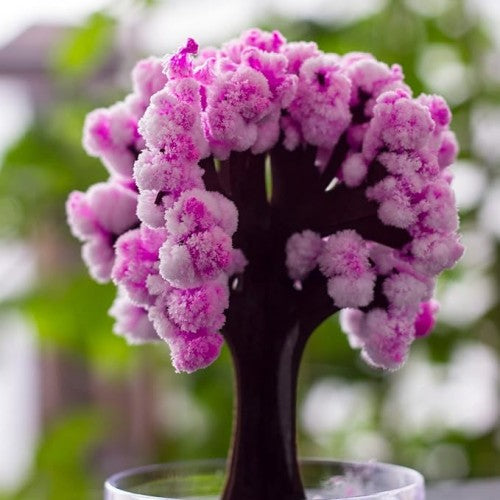 Magic Sakura Growing Tree DIY Crystal Tree